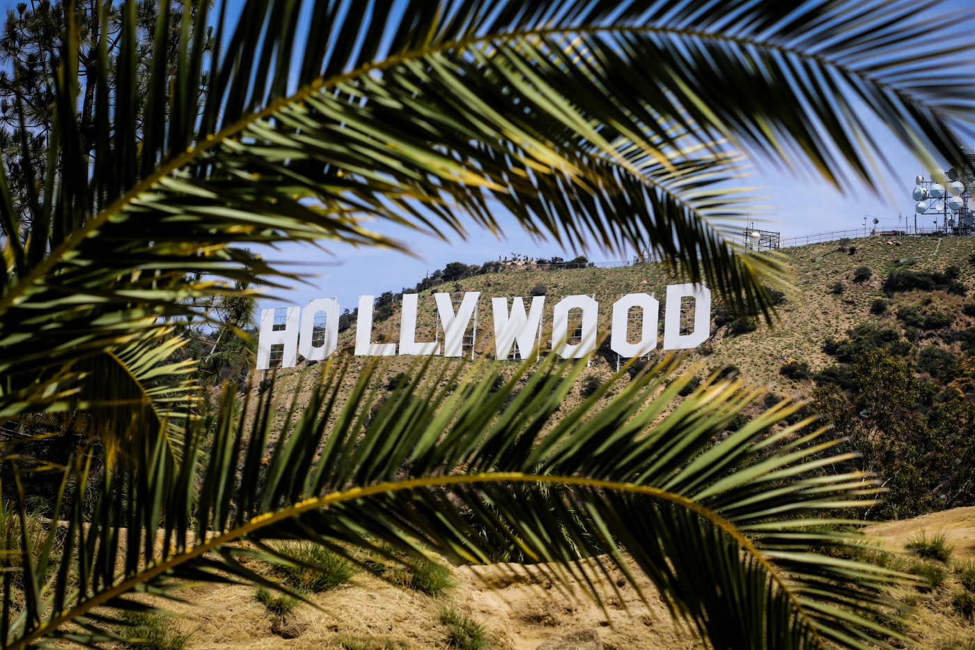 beauty secret hollywood body oil face oil skin oil elewa beauty natural cosmetics onlineshop